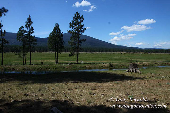 Ranch 18 South side of Hwy  has 2500 Acres of green fields Creeks water crossing Bridges on a Large Lake and miles of Dirt roads Oak trees  Forest land ATV Trails cows