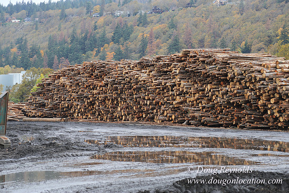 SDS Lumber-1370