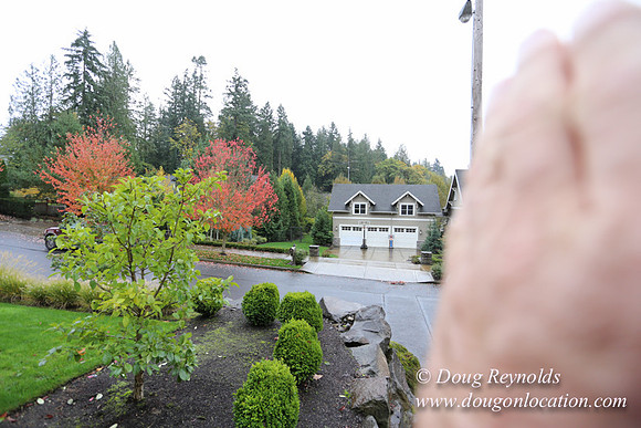 Kathy's House-0409