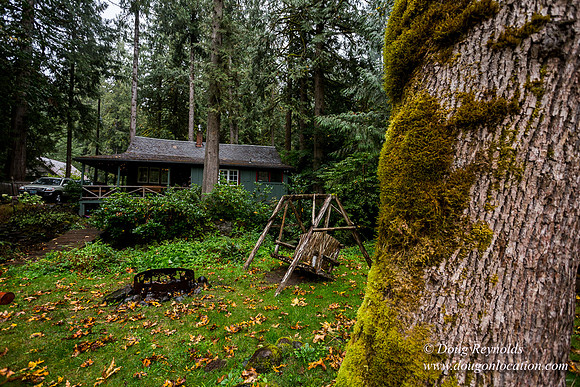 Collins Cabin