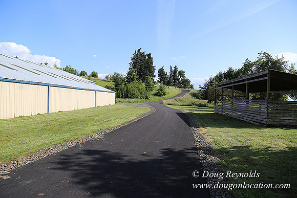 Helvetia rd at Mikes-5987