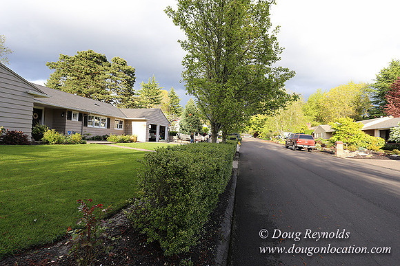Mid Century Traditional Style Home, With a Basement, 2 car garage average sized Back Yard with Patio and Fire Pit.