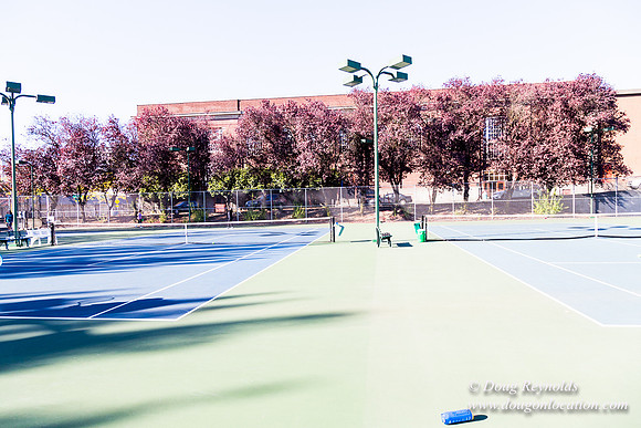 Portland Tennis Courts 3