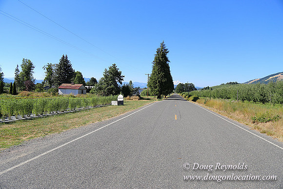 Thompson Rd Farm-8272