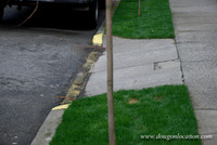 Fuller Apartments-0873