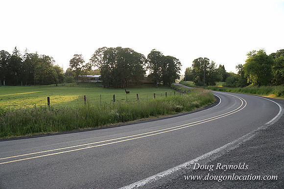 Mountaindale Rd-6422