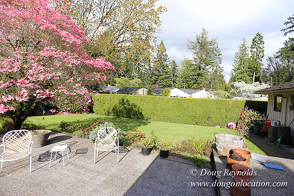 Mid Century Traditional Style Home, With a Basement, 2 car garage average sized Back Yard with Patio