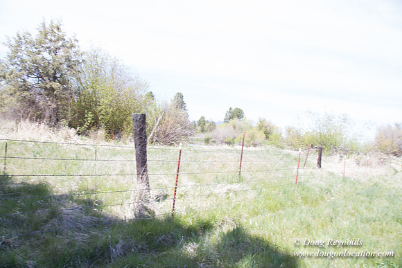 Ranch 18