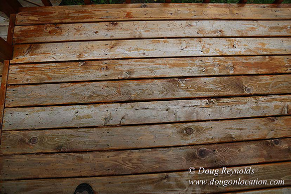 Cabin;  Home;  House; OR, Oregon Yard; deck; green. River,