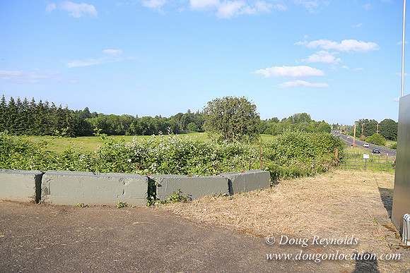 Hood Road Stand-5041