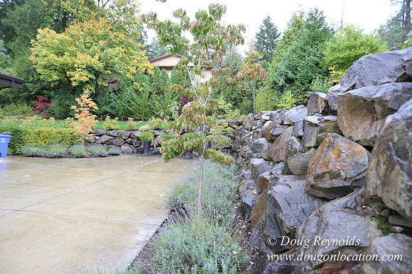 Kathy's House-0439