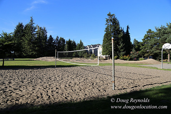 Lincoln Park-0557