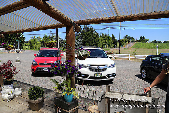 Little Door Farm Market-5402