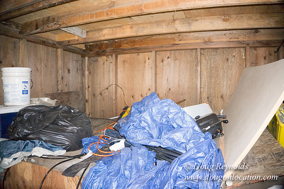Elle's Garage-2231