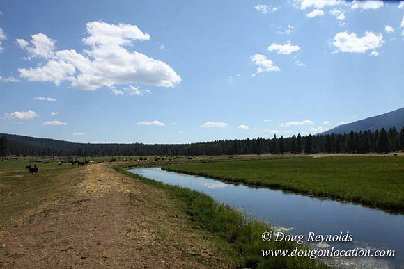 Ranch 18 South side of Hwy  has 2500 Acres of green fields Creeks water crossing Bridges on a Large Lake and miles of Dirt roads Oak trees  Forest land ATV Trails cows