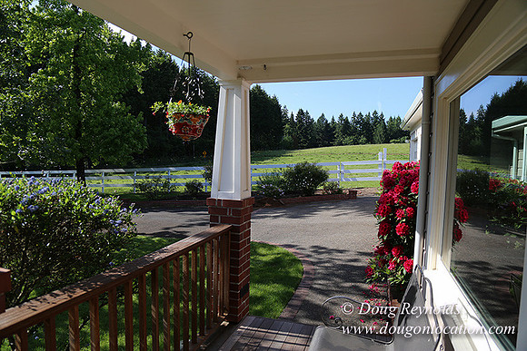 "2 Barns", "2 car garage", "40+ Acres", "PDX Zone", Pool, "White Fence", cows, "farm House", "rap around dive", "well maintained"