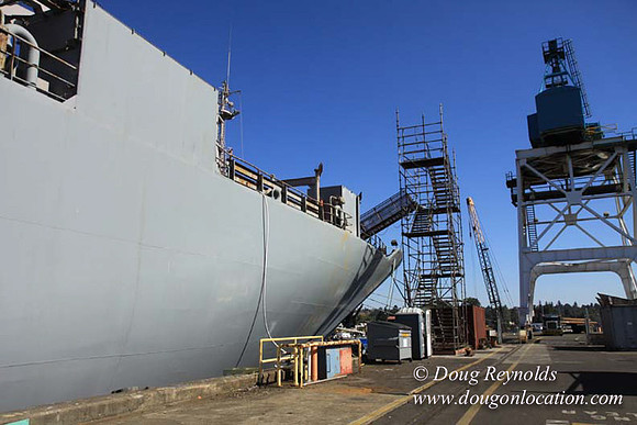 Ship Yard-0563