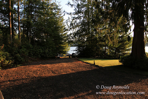 Boat, Cabin, Dock, "Doug's House lake", Home, WA, Washington, Yard, deck, "green. Beach"