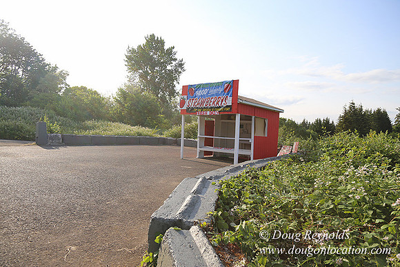 Hood Road Stand-5053