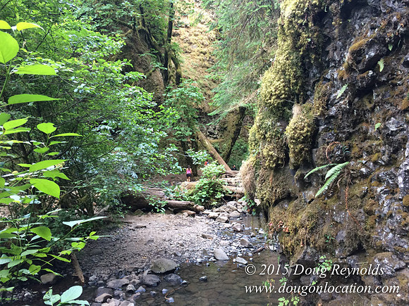 Oneonta Falls