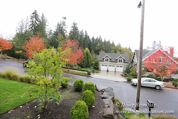 Kathy's House-0408