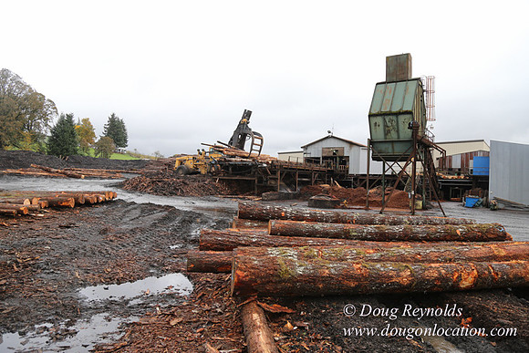 Saw Mill and Lumber Yard
