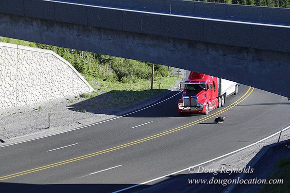 CMD Western Star Production Photo