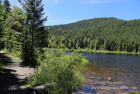 Trillium Lake-32003566
