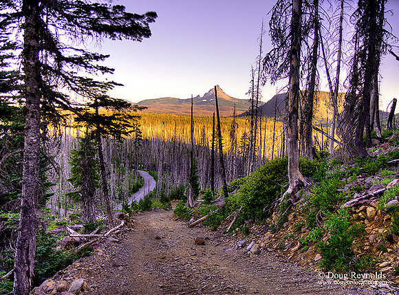 Rock Road
