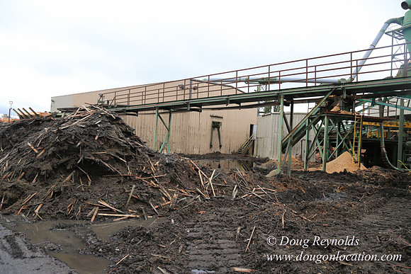 Saw Mill and Lumber Yard