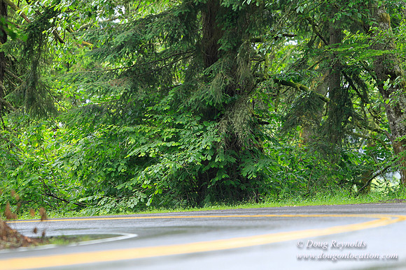 Brower Rd