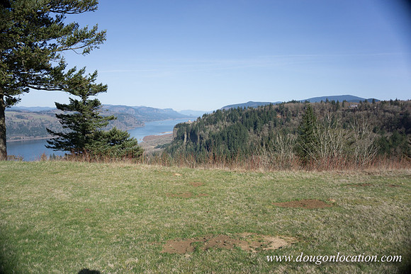 Women's Forum View-2975
