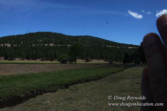 Ranch 18 South side of Hwy  has 2500 Acres of green fields Creeks water crossing Bridges on a Large Lake and miles of Dirt roads Oak trees  Forest land ATV Trails cows