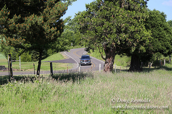 Helvetia rd at Mikes-6005