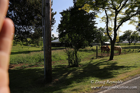 Helvetia rd at Mikes-5958