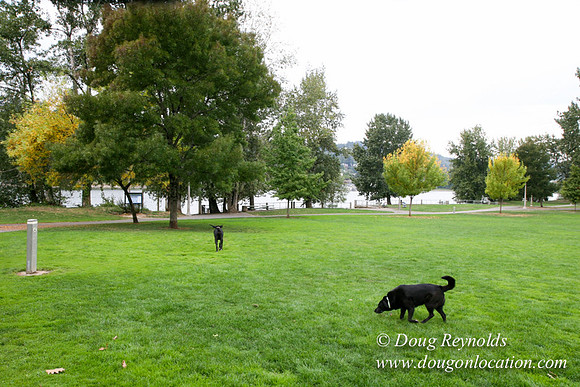 Sellwood RF Park-1889