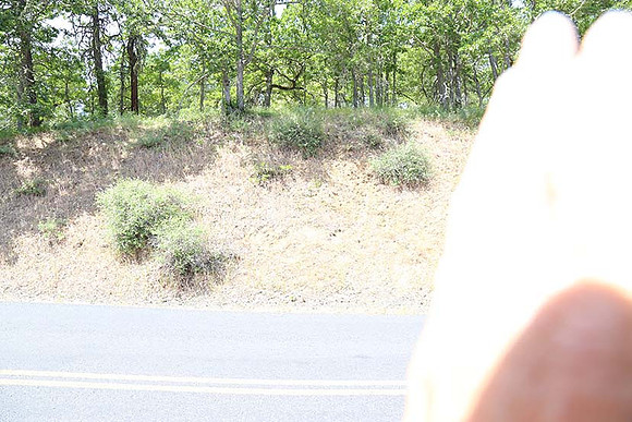Canyon Rd 2-7964
