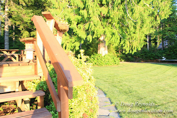 Boat, Cabin, Dock, "Doug's House lake", Home, WA, Washington, Yard, deck, "green. Beach"