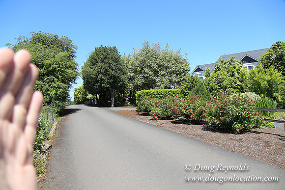Scotts House-5371