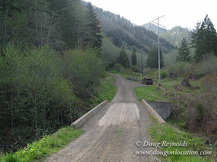 Cedar Camp Falls Bridge