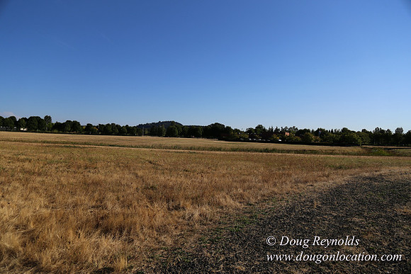 East End S Runway-5031