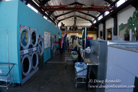 Spin Laundry-2698