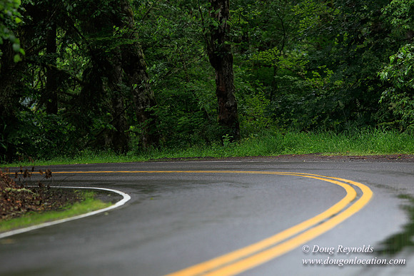 Brower Rd