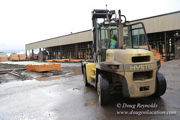 Saw Mill and Lumber Yard