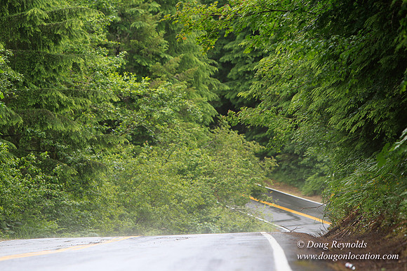 Brower Rd