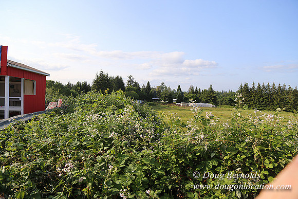 Hood Road Stand-5055