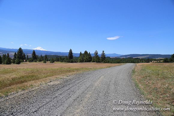 Brothers Ranch-8459