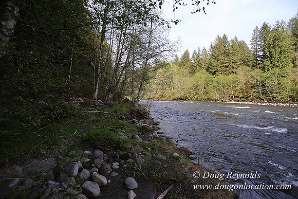 Brians River Side-0011