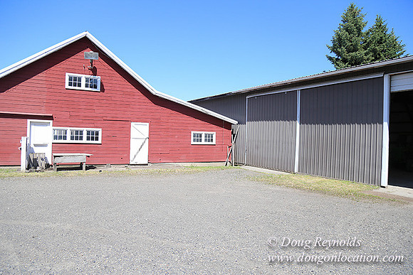 Vahan's Farm & Market-5131