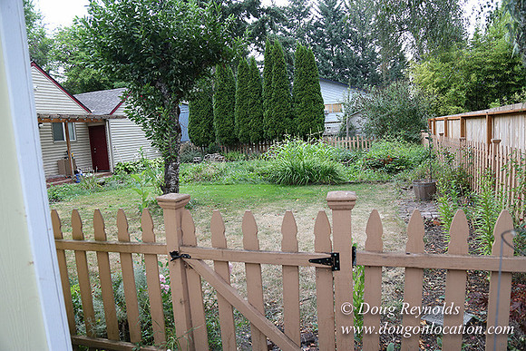 Nathan's Backyard-1741